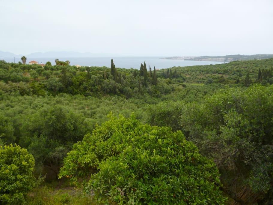 Ανεμώνη - Anemoni Villa Koroni  Exterior photo